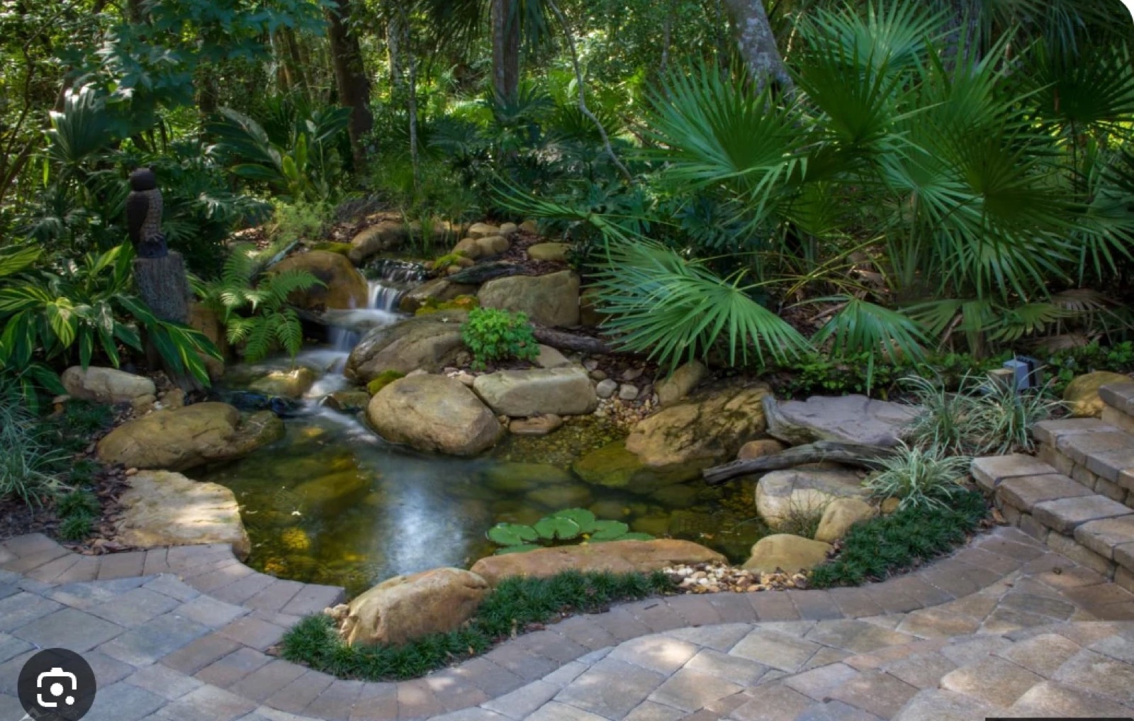 Natural rock pond with a cascading stream among tropical palms